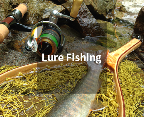 Lure Fishing